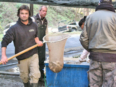 Let’s go fishin’: Trout fin clipping a success