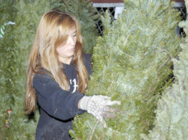 Scotts Valley to light Christmas tree this weekend