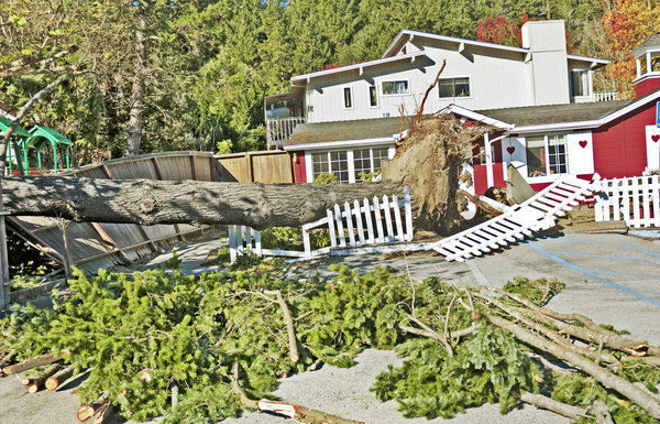 Windstorm ravages valleys