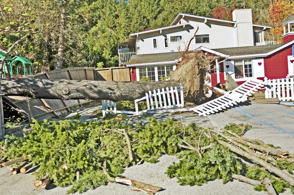 Windstorm ravages valleys