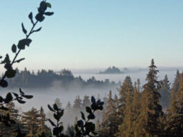 The Mountain Gardener: Know your mountainous climate zone