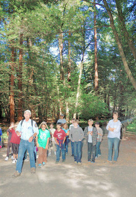 Happy trails: Hikes make for perfect family outings