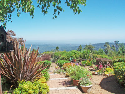 The Mountain Gardener: Hidden Gardens of Bonny Doon – a self guided tour.