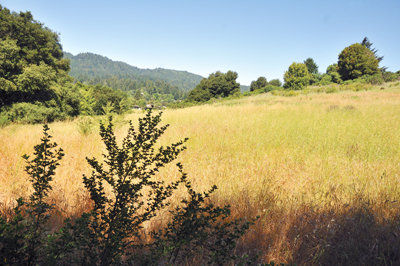Felton Meadow sold to Mount Hermon