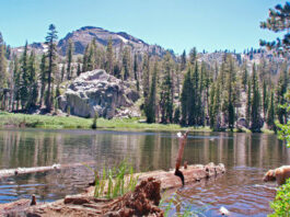Mountain Gardener: Home even sweeter after time away