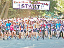 Wrong turn doesn’t cost runner Redwood’s race