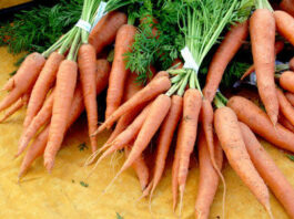 The Mountain Gardener: Children, start your veggies