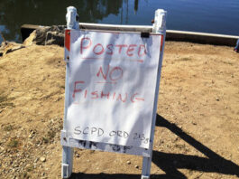 Let’s go fishin’: Salmon return to the Harbor