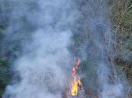 Outdoor burning rules likely to tighten in San Lorenzo Valley