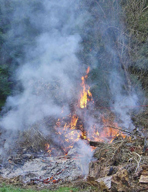 Outdoor burning rules likely to tighten in San Lorenzo Valley