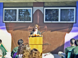 Artists, youth inmates complete murals