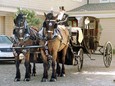 Horse-drawn transport arrives in Scotts Valley