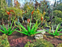 The Mountain Gardener: Glass garden a spectacular site