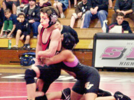SV defeats SLV after tournament success