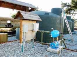 The Mountain Gardener: Easy ways to save rainwater, slow runoff