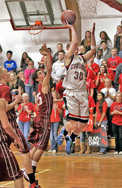 Cougars fall as basketball playoffs begin