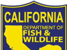 Let’s go fishin’: State department changes names, maintains mission
