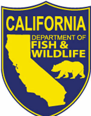 Let’s go fishin’: State department changes names, maintains mission