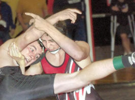 Wrestlers take titles, head to section tournament