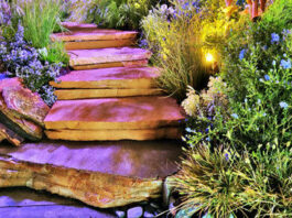 The Mountain Gardener: Garden show fosters new, bright ideas