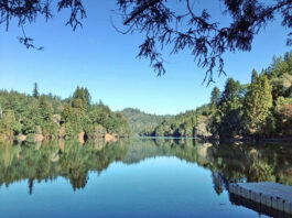 Let’s go fishin’: Loch Lomond opens as salmon season nears