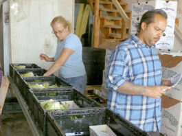 From farm to table