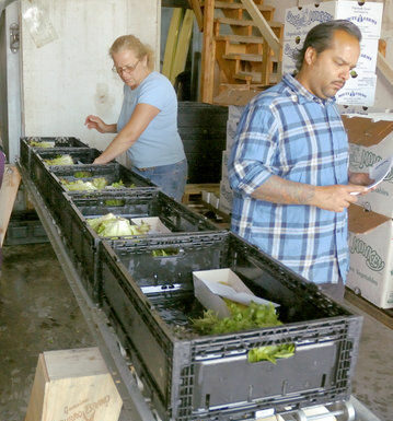 From farm to table
