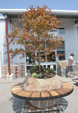 Create the ideal outdoor living space