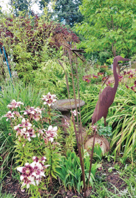 The Mountain Gardener: Chocolate a boon to any garden