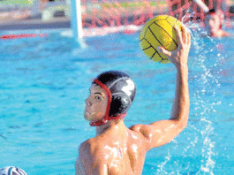 Cougars top Christopher in the water