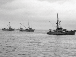 Let’s go fishin’: Tuna fleet follows fish to Santa Cruz