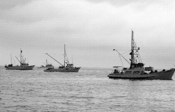 Let’s go fishin’: Tuna fleet follows fish to Santa Cruz