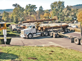 Logging truck overturns in Felton