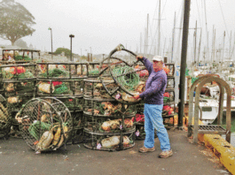 Lets Go Fishin’: Getting crabby, and other fine eats from the sea