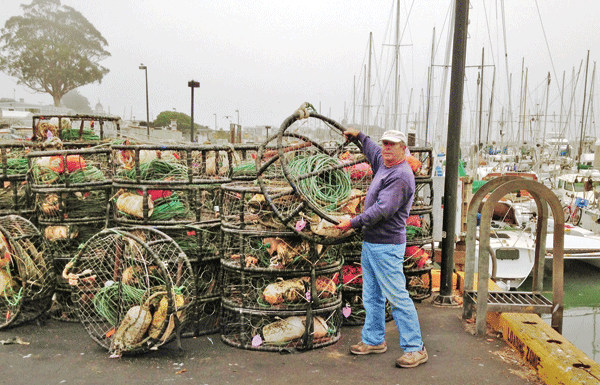Lets Go Fishin’: Getting crabby, and other fine eats from the sea