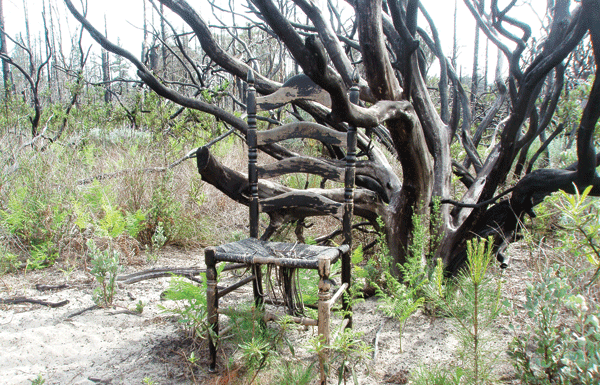 The Mountain Gardener: Firescape landscaping