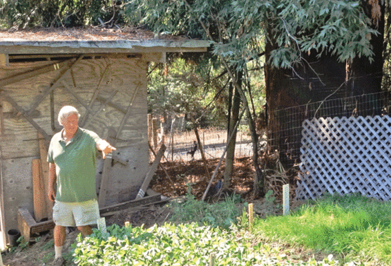 The Mountain Gardener: Use cover crops to improve soil, prevent erosion
