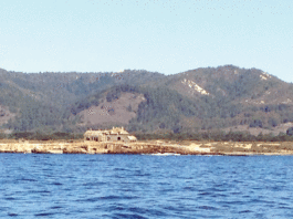Let’s go fishing: Fall fishing at New Years Island