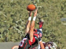 Falcons roll in win over rival Cougars