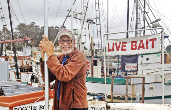 Let’s go fishin’: Baitfish flood the Bay