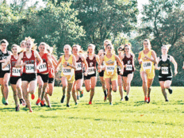 Falcon boys take first league title; Four local teams qualify for section meet