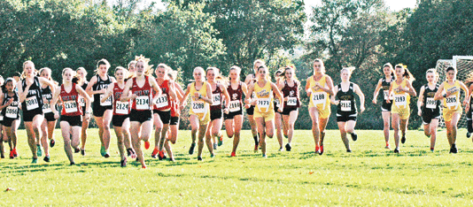 Falcon boys take first league title; Four local teams qualify for section meet