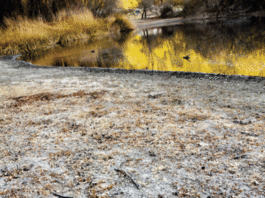 Dry conditions cause worries for local water, fire personnel
