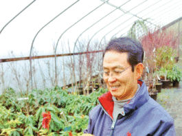 The Mountain Gardener: A new tree for my sister
