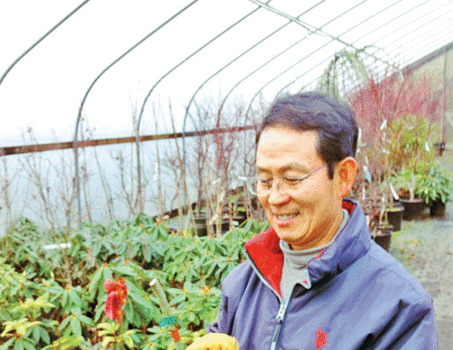 The Mountain Gardener: A new tree for my sister