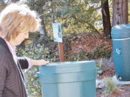 Rainwater harvesting systems may be future of water usage