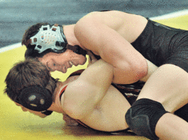 Falcons outmuscle Cougars in duel meet