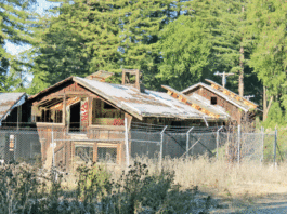 A history of the Polo Ranch barn