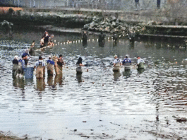 Let’s go fishin’: Salmon operation a success