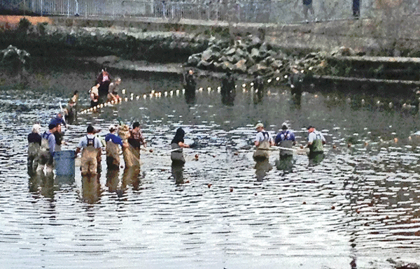 Let’s go fishin’: Salmon operation a success